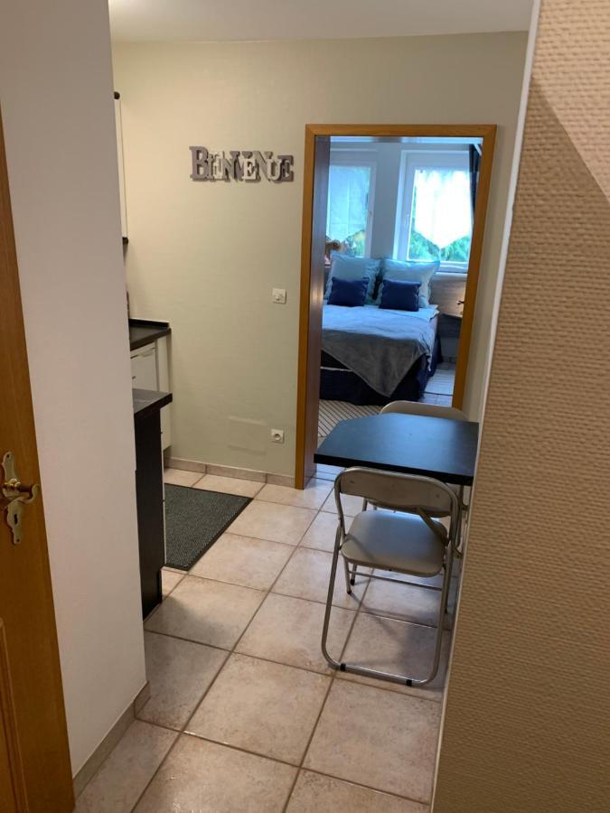 Maison A Colombages Wissembourg Εξωτερικό φωτογραφία