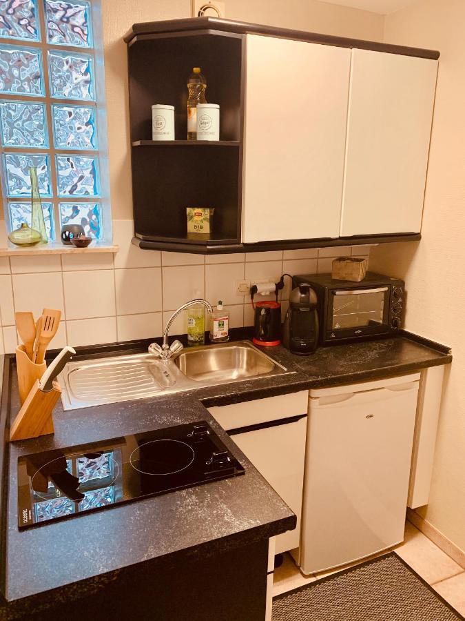 Maison A Colombages Wissembourg Εξωτερικό φωτογραφία